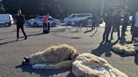 Ciobanii protestează la Guvern, nemulţumiţi că exporturile de carne de miel au fost interzise, chiar înainte de Paște  (VIDEO)