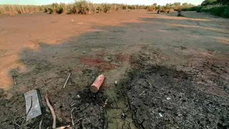 Lacul Comana a secat din cauza schimbărilor climatice: Un peisaj dezolant aproape de București