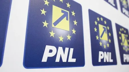 PNL, fără listă de candidați la Camera Deputaților în Diaspora