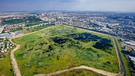 Delta Văcărești se igienizează și va începe să fie păzită