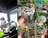 Şoferie pe bani grei în Anglia, abandonată pentru viaţa de fermier din România