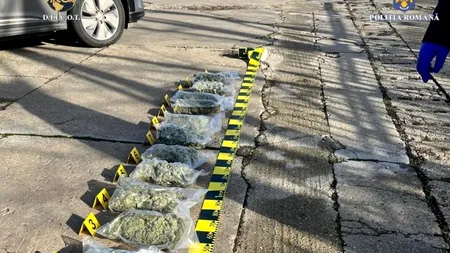 Rețea de trafic de droguri, destructurată în România. Patru persoane, arestate pentru introducerea a 37 kg de cannabis