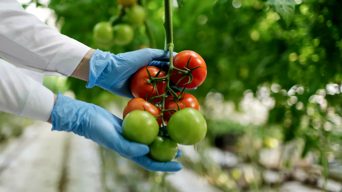 Câte pesticide am mâncat în 2024? ANF a prezentat raportul pe anul trecut