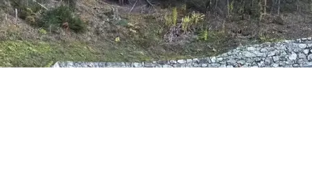 „Cel mai scump accident din istorie”: Patru bolizi de lux - un McLaren, două Ferrari și un Bentley - avariați pe o șosea din Austria