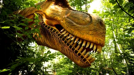 Dino Parc Râșnov a ajuns la peste 2 milioane de vizitatori în 6 ani de activitate
