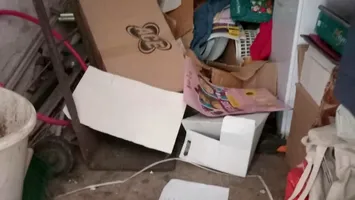 Condiții inumane într-o școală din România! Unde au găsit inspectorii gândaci vii și mizerie de nedescris
