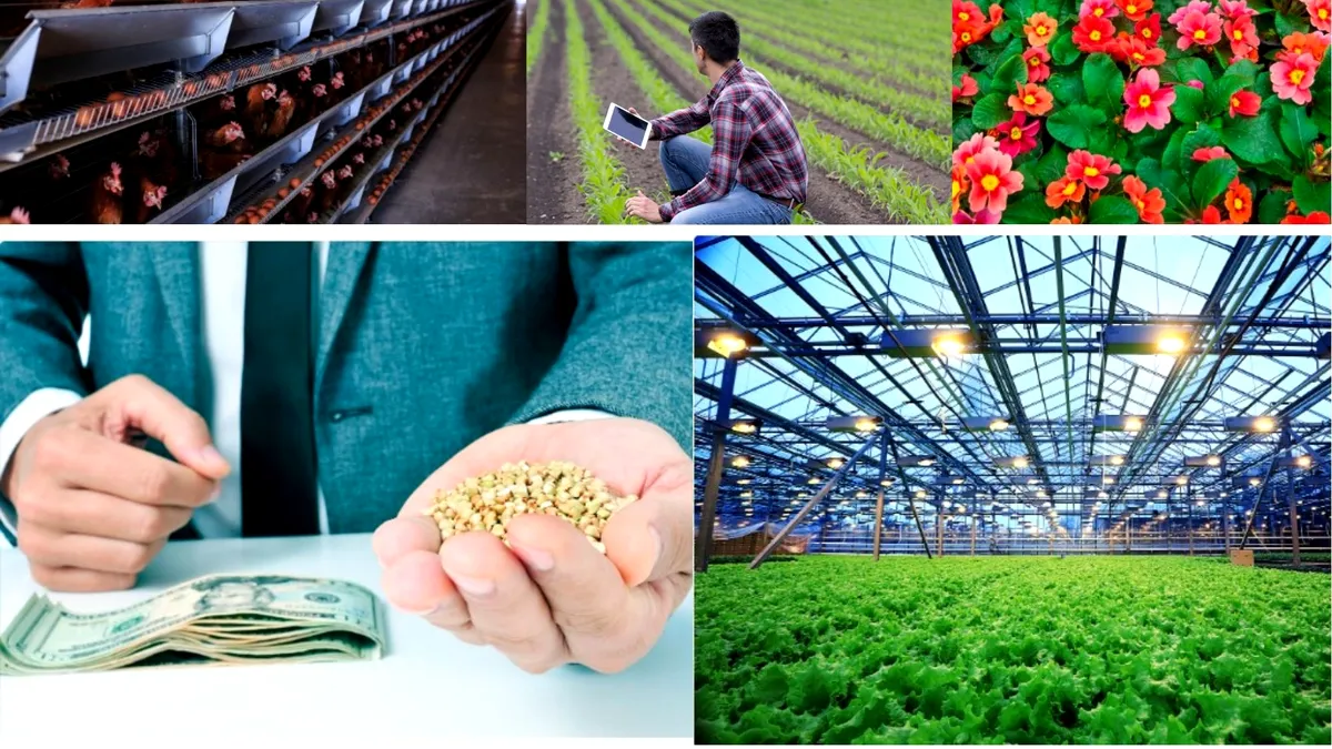 Războiul din Ucraina a provocat insolvența unui stâlp al agribusiness-ului românesc