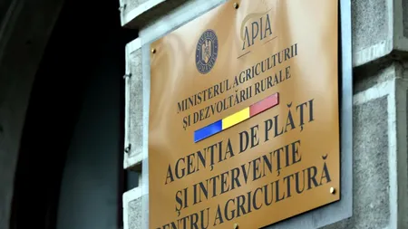 APIA: Sprijin financiar în valoare de 2,66 milioane lei pentru crescătorii de animale