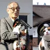 Japonia are un nou șef de gară: pisica Yontama