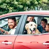 Pleci în vacanță cu mașina? Unde sunt cei mai scumpi și cei mai ieftini carburanți