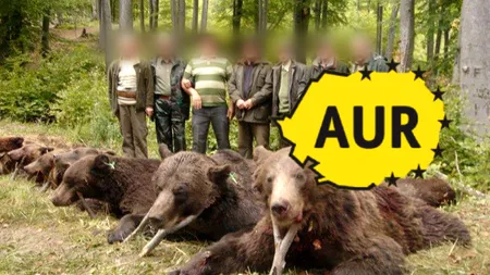 AUR susține scoaterea urșilor bruni de pe lista animalelor protejate