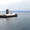 Valurile ar putea deveni energia viitorului. Test reușit pentru un proiect experimental în largul Spaniei (VIDEO)