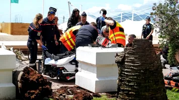 Festivalul de la Cannes: un palmier a căzut peste unul dintre invitați