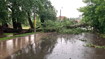 Plopii lui Eminescu, din nou fără soț