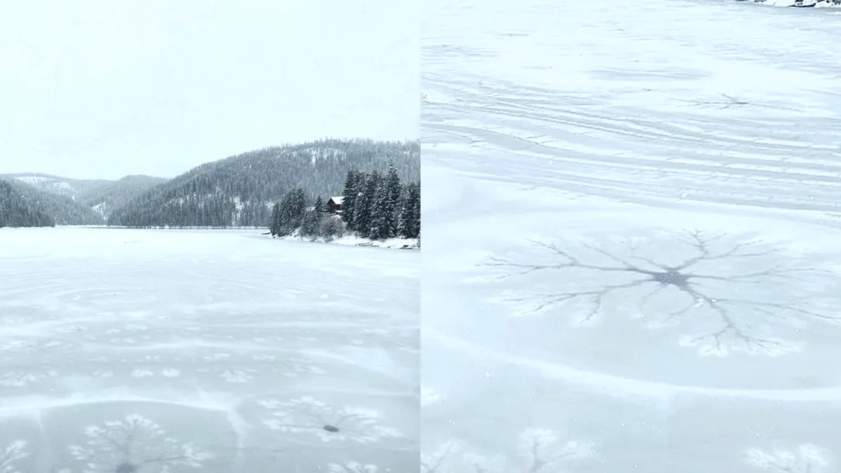 Fenomen spectaculos pe Lacul Beliș din Munții Apuseni. Pe luciul apei au apărut adevărate opere de artă