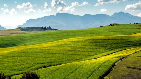Record de vânzări pe piața terenurilor din România. În 2021, tranzacțiile au depășit 800 de milioane de euro