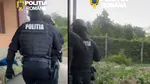 1,5 milioane de lei din escrocherii internaționale. Rețea de spălare de bani, destructurată în Timiș și Vâlcea
