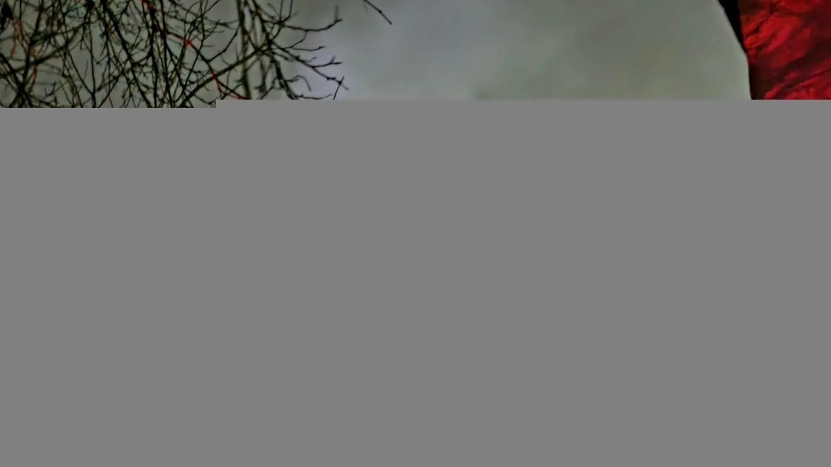 Giurgiu: Incendiu în imediata vecinătate a unui cămin de bătrâni. 28 de vârstnici evacuați