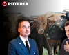 De ce îl susține Tanczos Barna pe șeful ANSVSA, Alexandru Bociu