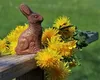 Iepurași de ciocolată: Ambalați frumos, dar ce este înăuntru?