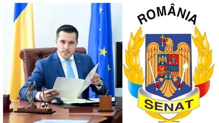 Senatul a rămas sub controlul USR