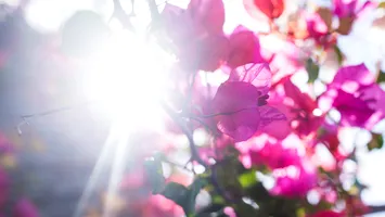 Cum va fi vremea de Florii: schimbare radicală a prognozei