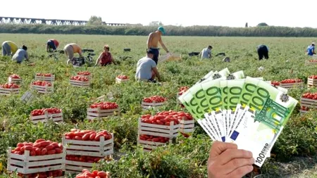 3 miliarde de euro este subvenția care a ajuns la fermierii români