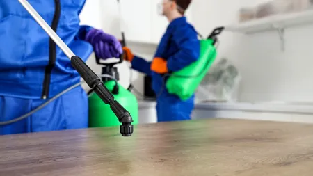 Cum alegi cel mai bun dezinfectant pentru suprafețe? 8 recomandări utile