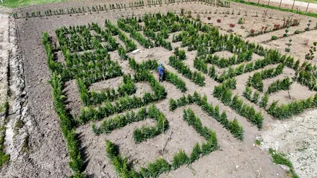 Labirint verde pentru cei mici, creat într-o comună din Dolj