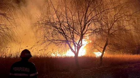 Ard zeci de hectare de vegetație în Delta Dunării