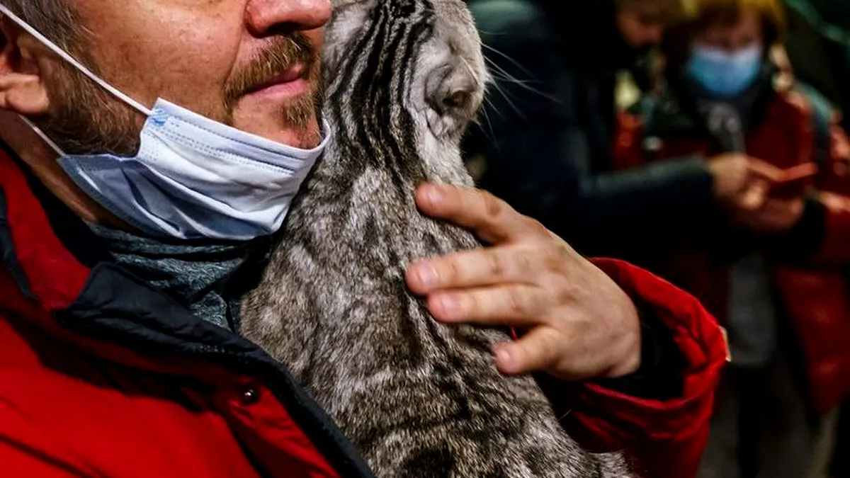 FOTO Imaginile care au devenit virale. Tinerii nu se cunosc, dar se ucid, iar bătrânii se cunosc, dar nu se ucid