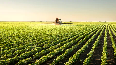 Se construiește o nouă fabrică în România. Va transforma deșeurile agricole în „aur verde”