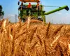 România încheie anul comercial pe primul loc în UE la exportul de grâu, orz și porumb
