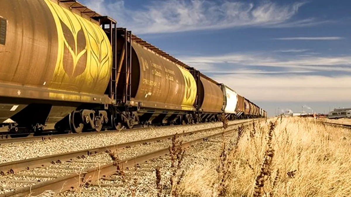 Cum au furat trei persoane 77 de tone de cereale și cărbune din trenurile din Portul Constanța