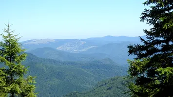 Afaceri dubioase cu fonduri publice la Parcul Natural Putna-Vrancea, aflat în parohia Romsilva