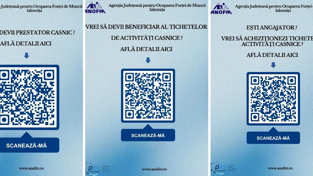 Ce sunt tichetele de prestator casnic, ce valoare au şi cum pot fi procurate