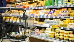 De ce totul este mai scump în România? Motorina, „taxa” ascunsă de pe fiecare raft