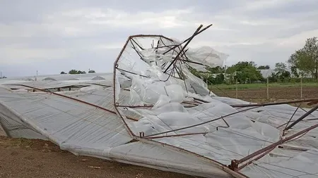 Vântul a distrus mai multe solarii în Glodeanu Sărat. Oamenii cer ajutorul autorităților. EXCLUSIV