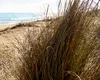 Cea mai mică stațiune din Spania, atât de îndrăgită de turiști, se prăbușește: care este motivul?