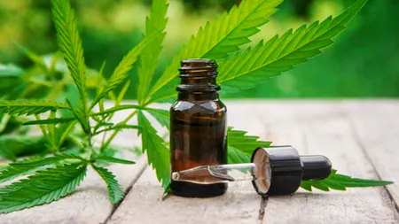 Specialiștii sunt rezervați în privința legiferării canabisului în scop medical