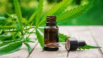 Specialiștii sunt rezervați în privința legiferării canabisului în scop medical