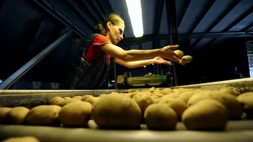 Călătoria unei pâini prin economia României. Unde se scumpește, de fapt, traiul