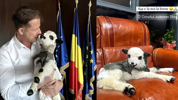 Hubert Thuma a salvat un miel. Care este povestea lui Pablo și ce planuri are președintele CJ Ilfov pentru el