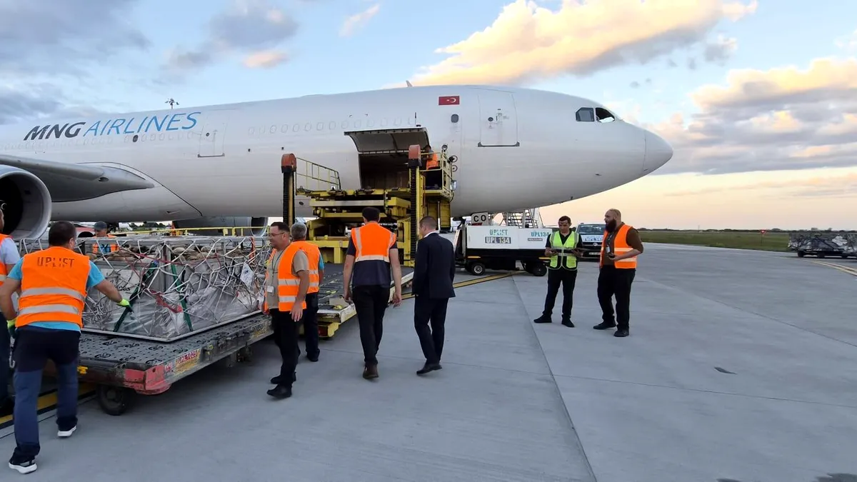 Premieră pentru România: peste 4.000 de ovine au fost transportate cu avionul în Algeria (VIDEO)