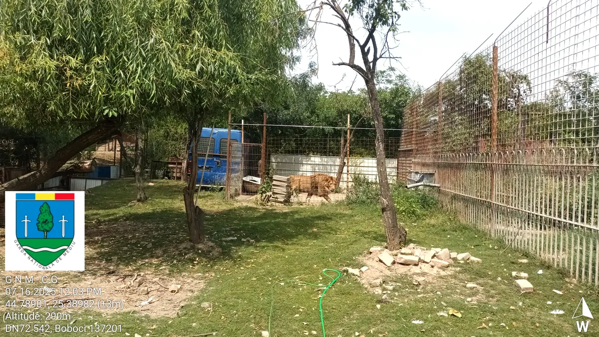 Grădină zoologică ilegală, descoperită într-o curte din Dâmbovița. Animale sălbatice ținute în captivitate, în condiții mizere