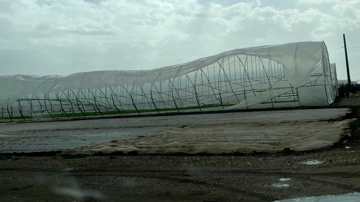 Solariile legumicultorilor din Băleni, distruse de furtună