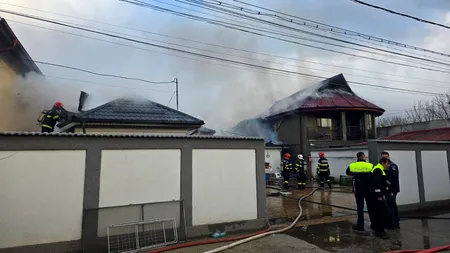 Incendiu de proporții în Tunari: trei imobile au fost cuprinse de flăcări / 12 autospeciale, trimise la fața locului (VIDEO)