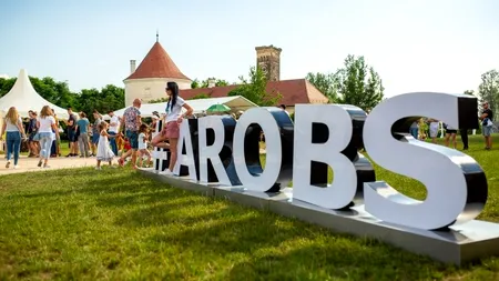 Arobs, cea mai mare companie din IT listată la BVB, profit net de 10,8 milioane lei, în S1