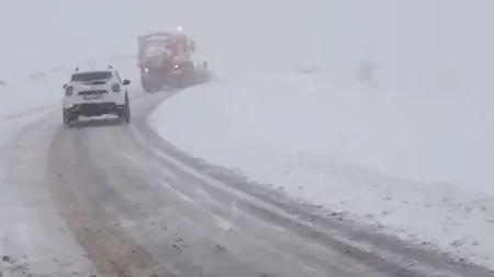 Ninge abundent pe cea mai înaltă șosea din România (video)