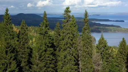 Top 10 cele mai frumoase locuri din Finlanda, țara celor 1000 de lacuri și a pădurilor nesfârșite